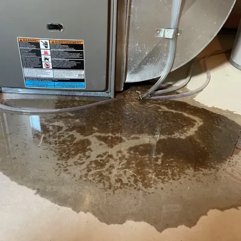 Appliance Leak Cleanup in Paola, KS